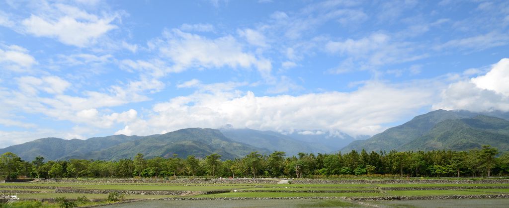 DSC_8565 DSC_8565
