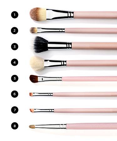brushes.jpg