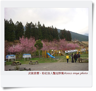 DSC00093