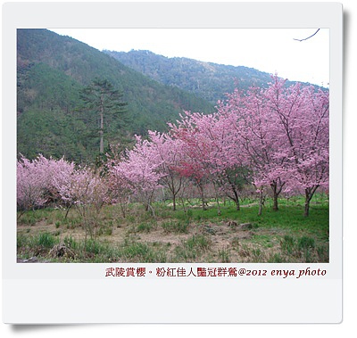 DSC00104
