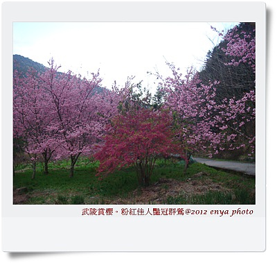 DSC00105