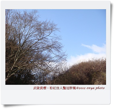 DSC09831