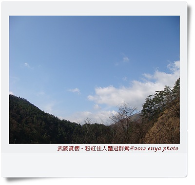 DSC09837