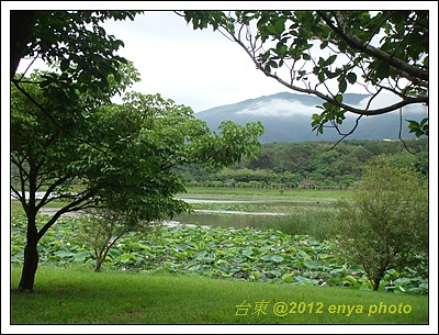 台東景點