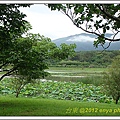 台東景點