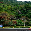 台東八仙洞外景20120101.jpg