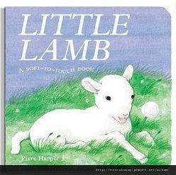 Little lamb1