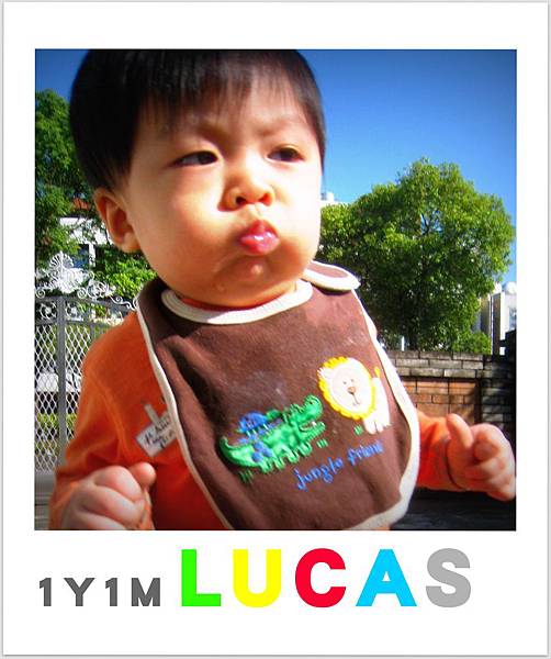 1Y1M Lucas