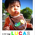 1Y1M Lucas