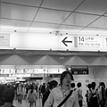 DSC08841(黑白).JPG