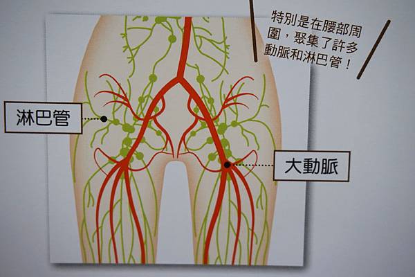 內文介紹 (27).JPG 內文介紹 (27).JPG