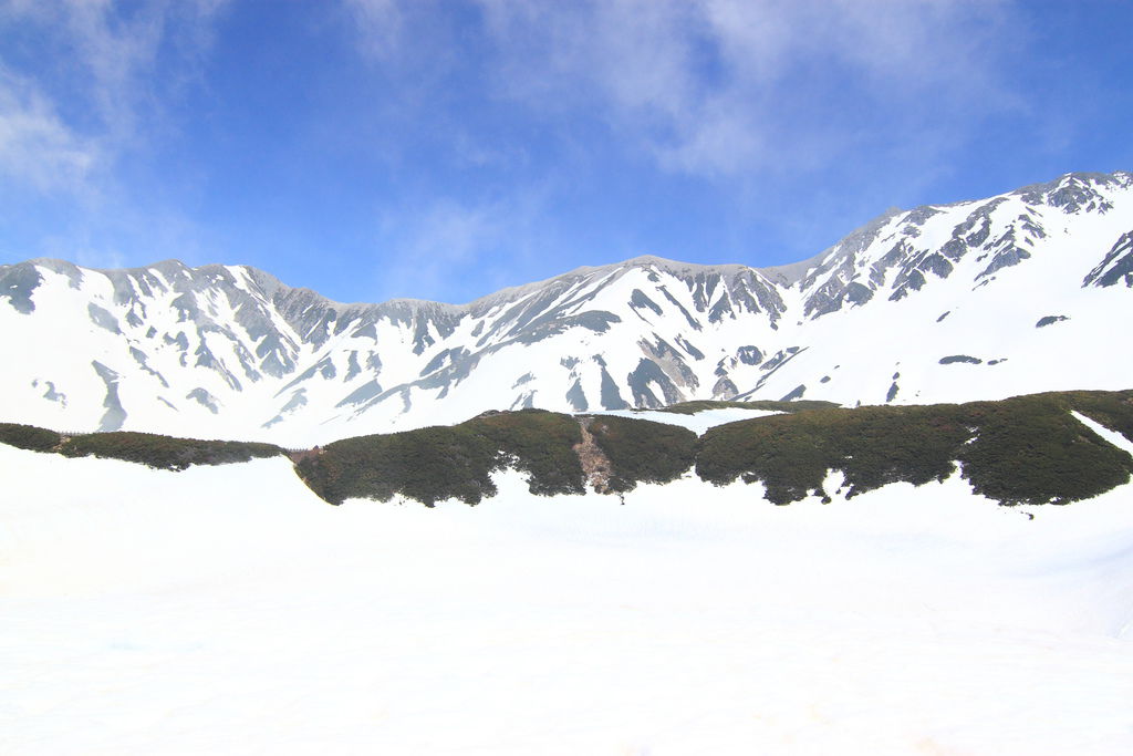 IMG_1336.JPG