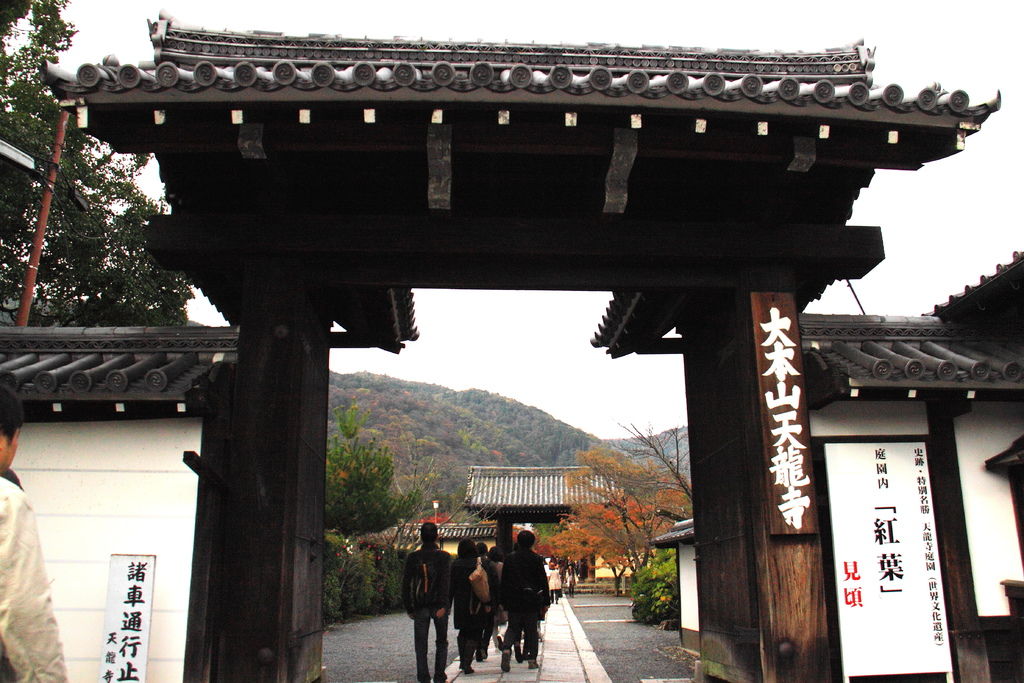 IMG_3652.JPG IMG_3652.JPG