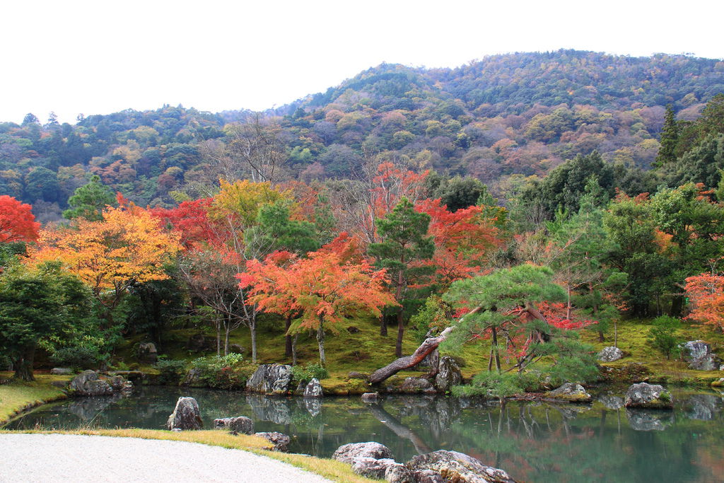 IMG_3682.JPG IMG_3682.JPG