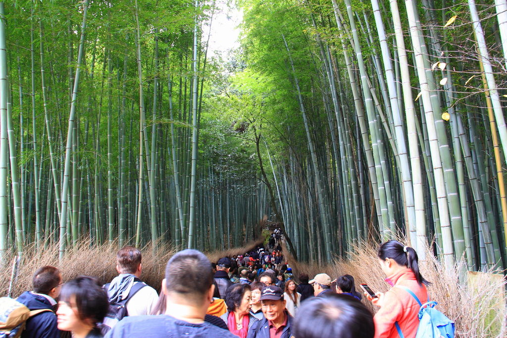 IMG_3728.JPG IMG_3728.JPG