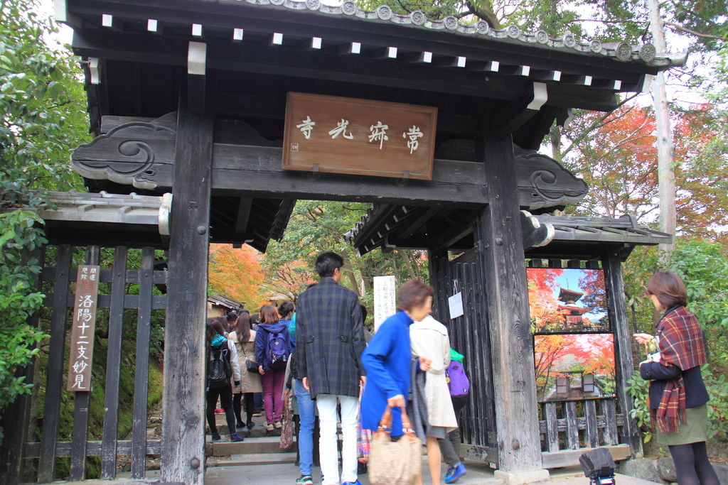 IMG_3756.JPG IMG_3756.JPG