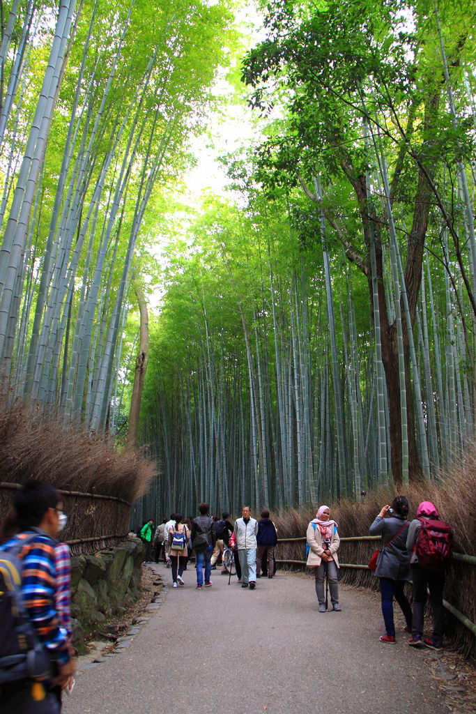 IMG_3749.JPG IMG_3749.JPG