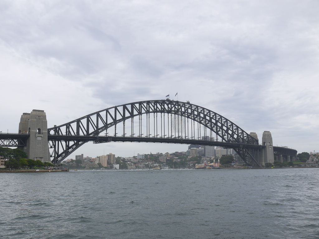 P1050019.JPG P1050019.JPG