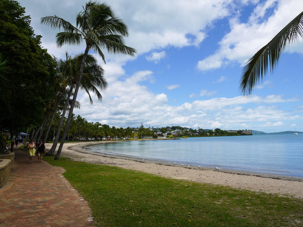 P1040835.jpg P1040835.jpg