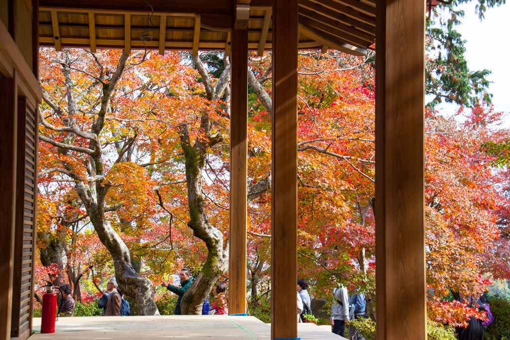 IMG_3881.jpg IMG_3881.jpg