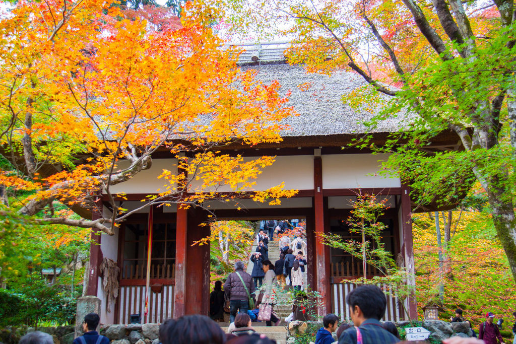 IMG_3759.jpg IMG_3759.jpg