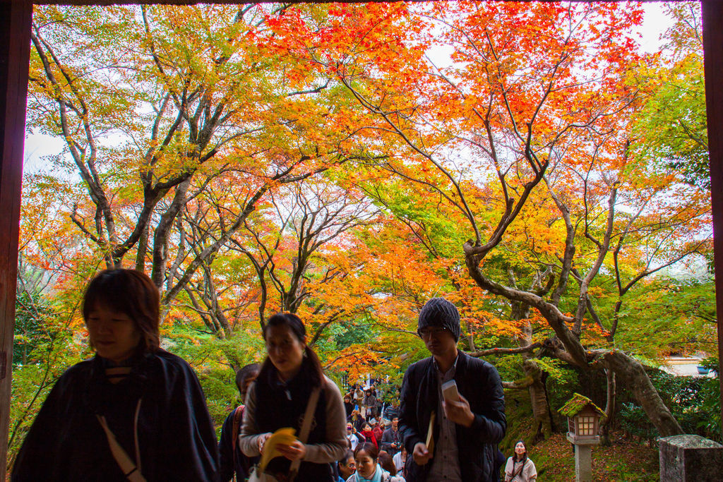 IMG_3777.jpg IMG_3777.jpg