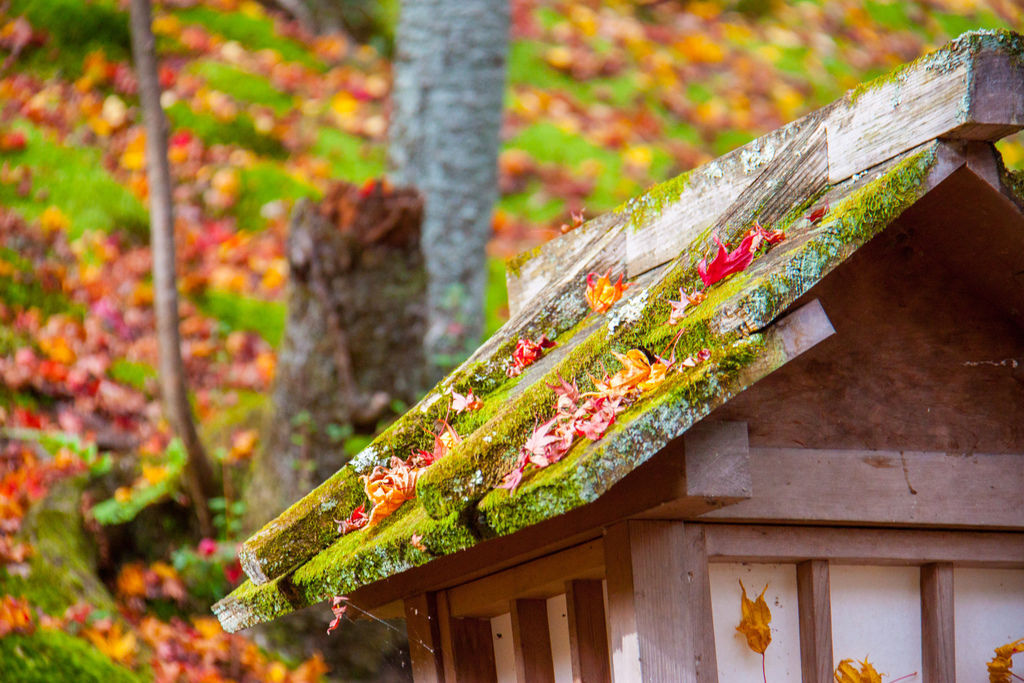 IMG_3791.jpg IMG_3791.jpg