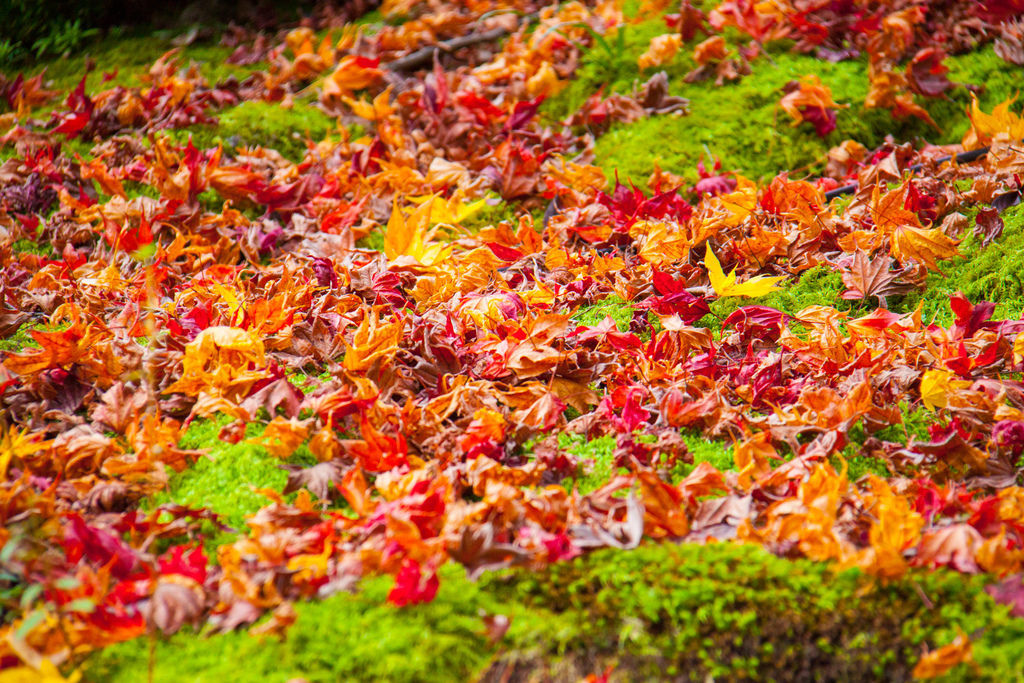 IMG_3792.jpg IMG_3792.jpg