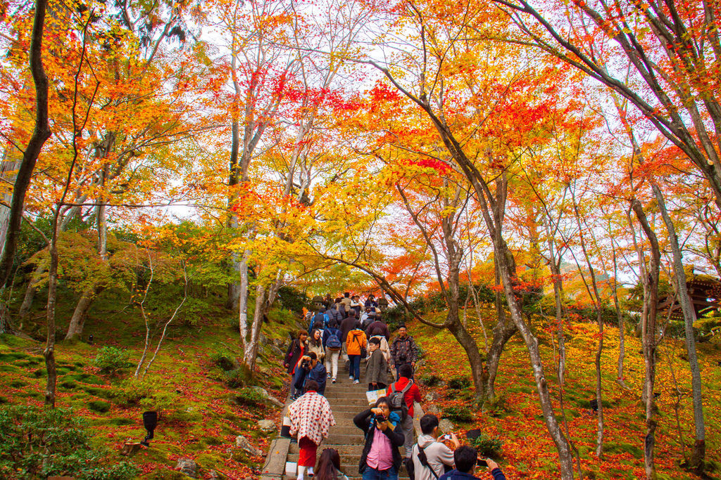 IMG_3778.jpg IMG_3778.jpg