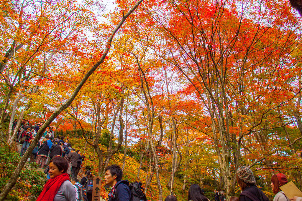 IMG_3795.jpg IMG_3795.jpg