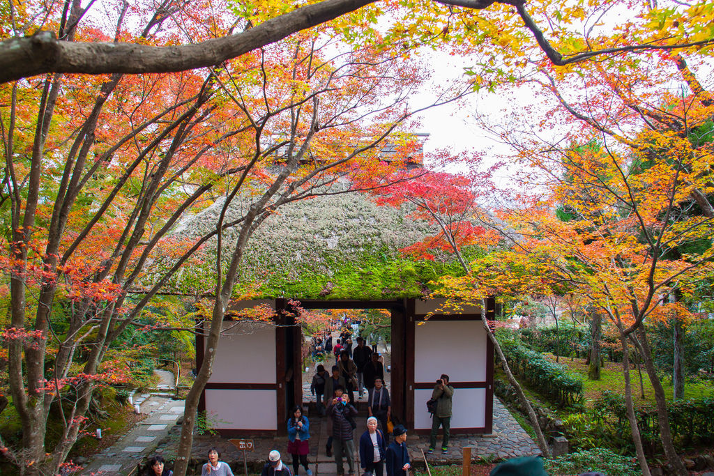 IMG_3813.jpg IMG_3813.jpg