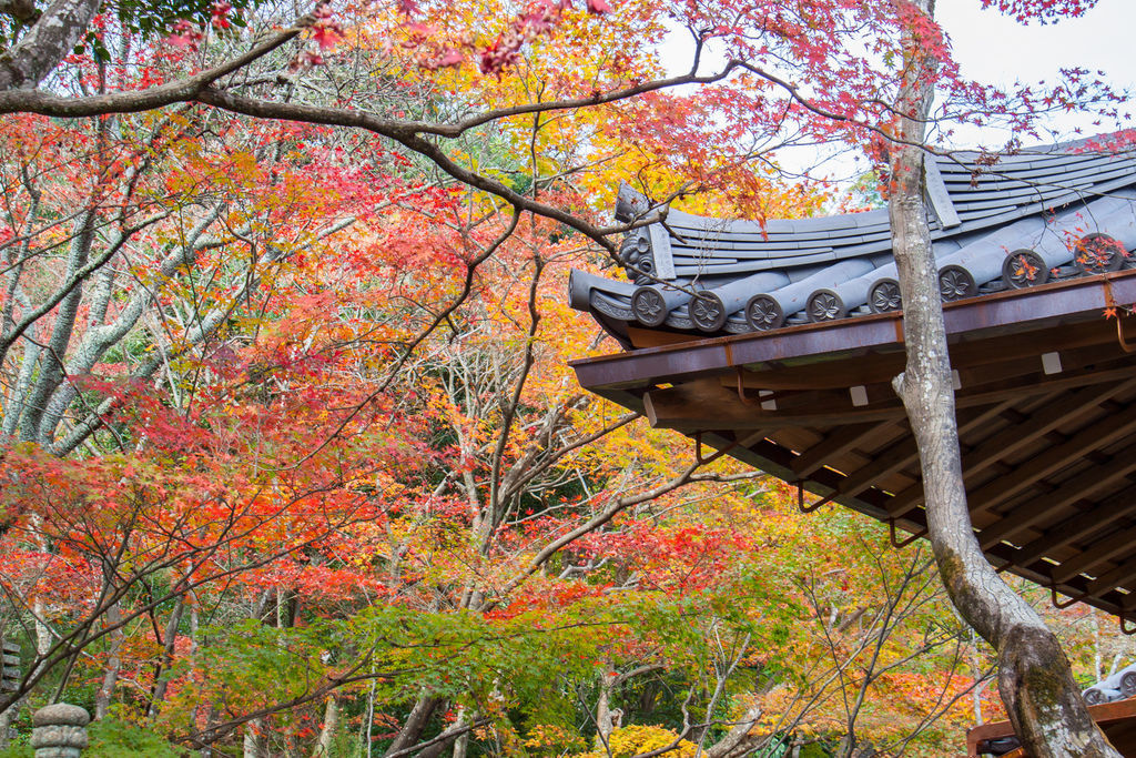 IMG_3843.jpg IMG_3843.jpg