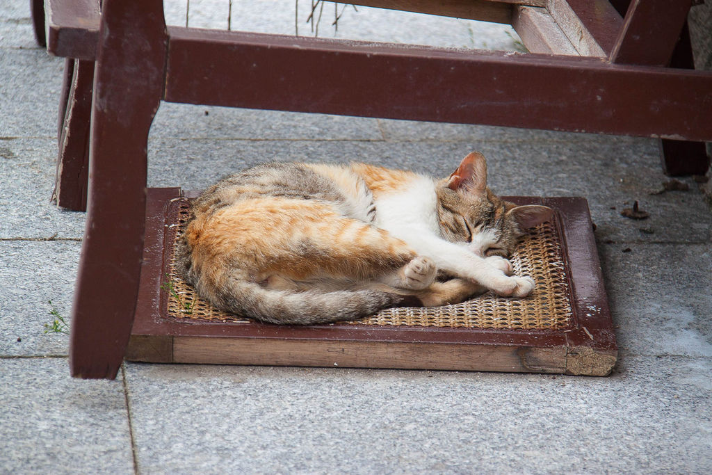 IMG_5088.jpg IMG_5088.jpg