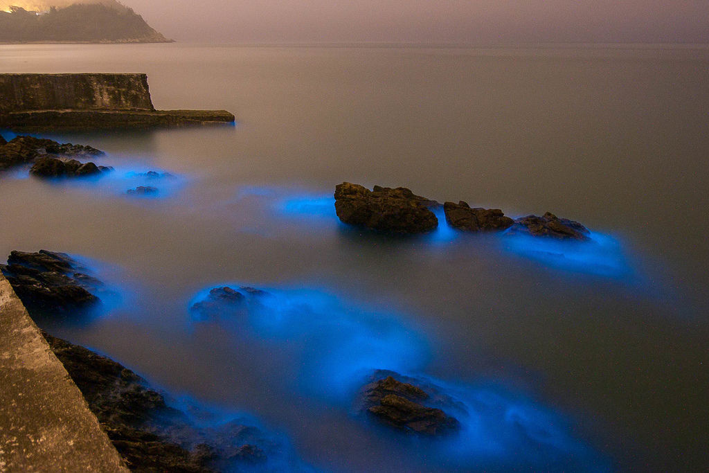 IMG_5352.jpg IMG_5352.jpg