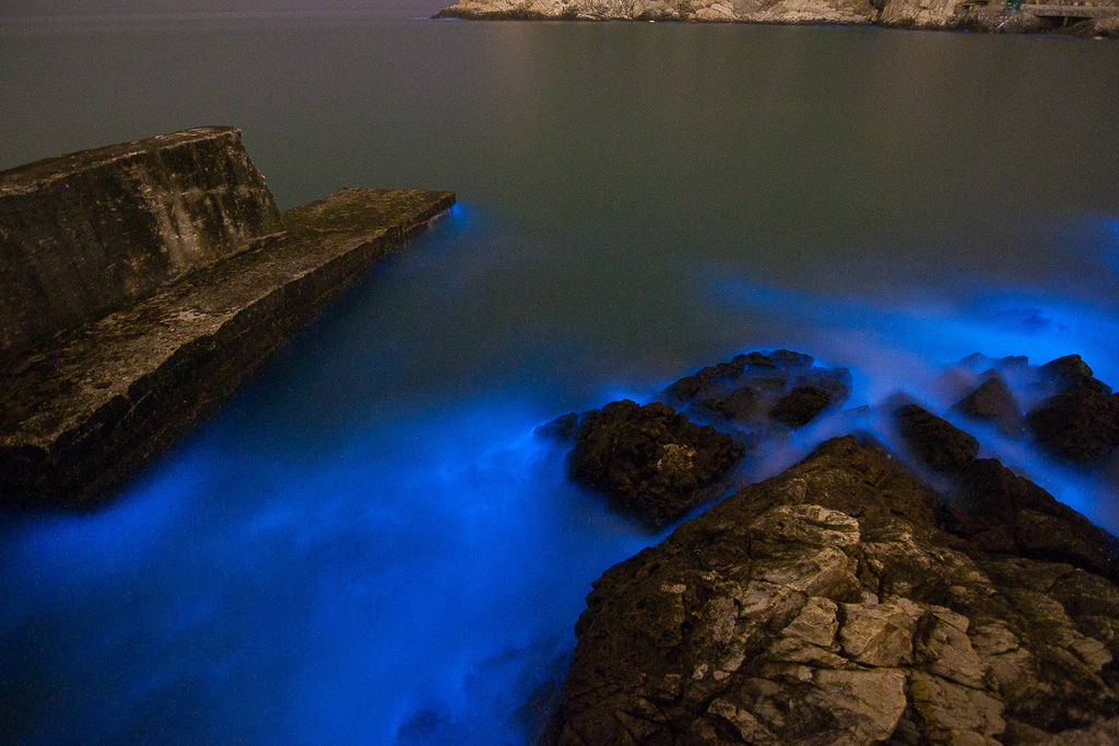 IMG_5353.jpg IMG_5353.jpg