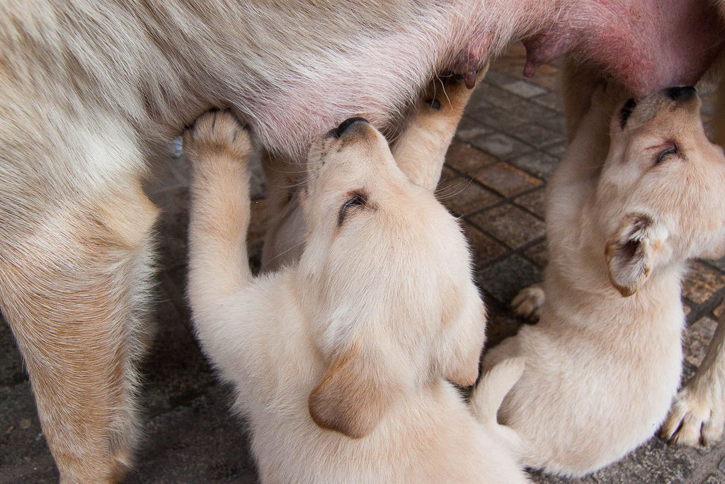 IMG_5202.jpg IMG_5202.jpg