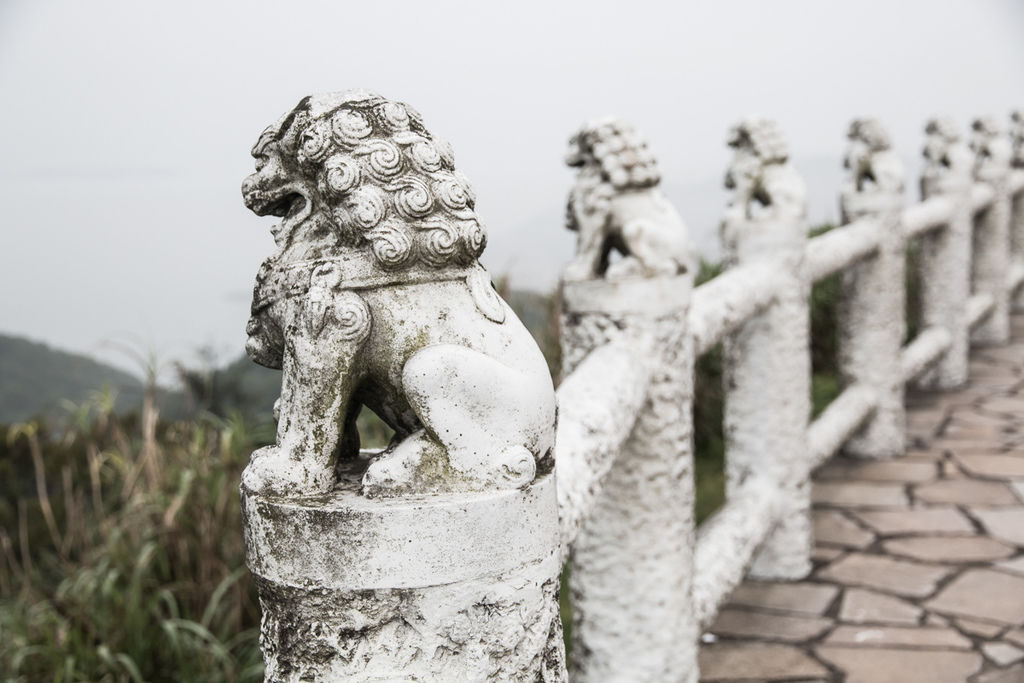 IMG_0996.jpg IMG_0996.jpg