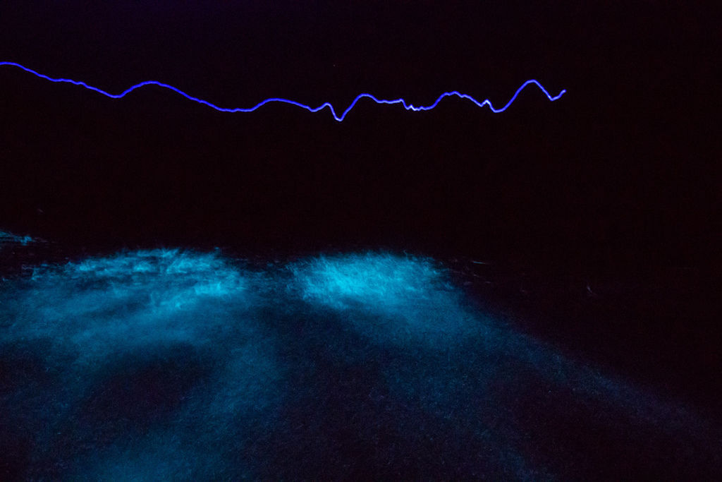 IMG_0563.jpg IMG_0563.jpg