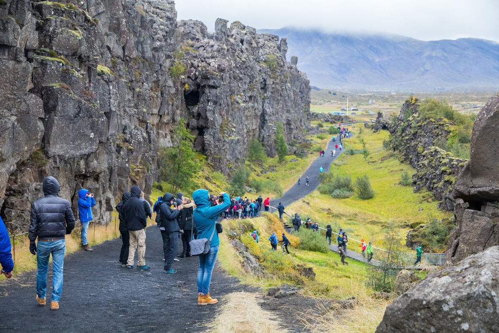 IMG_0878.jpg IMG_0878.jpg