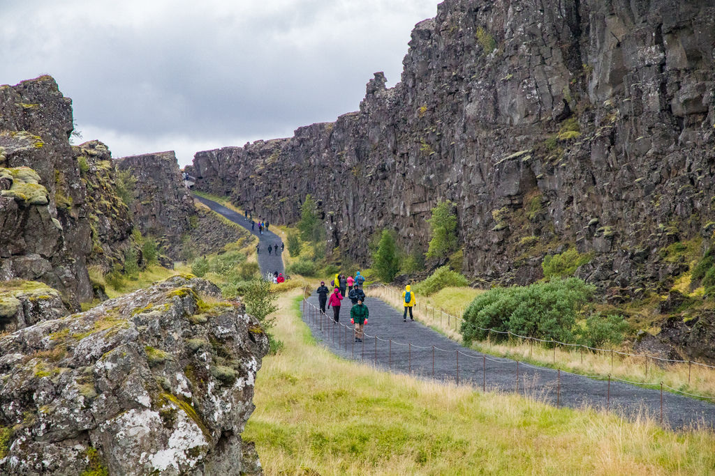 IMG_0924.jpg IMG_0924.jpg