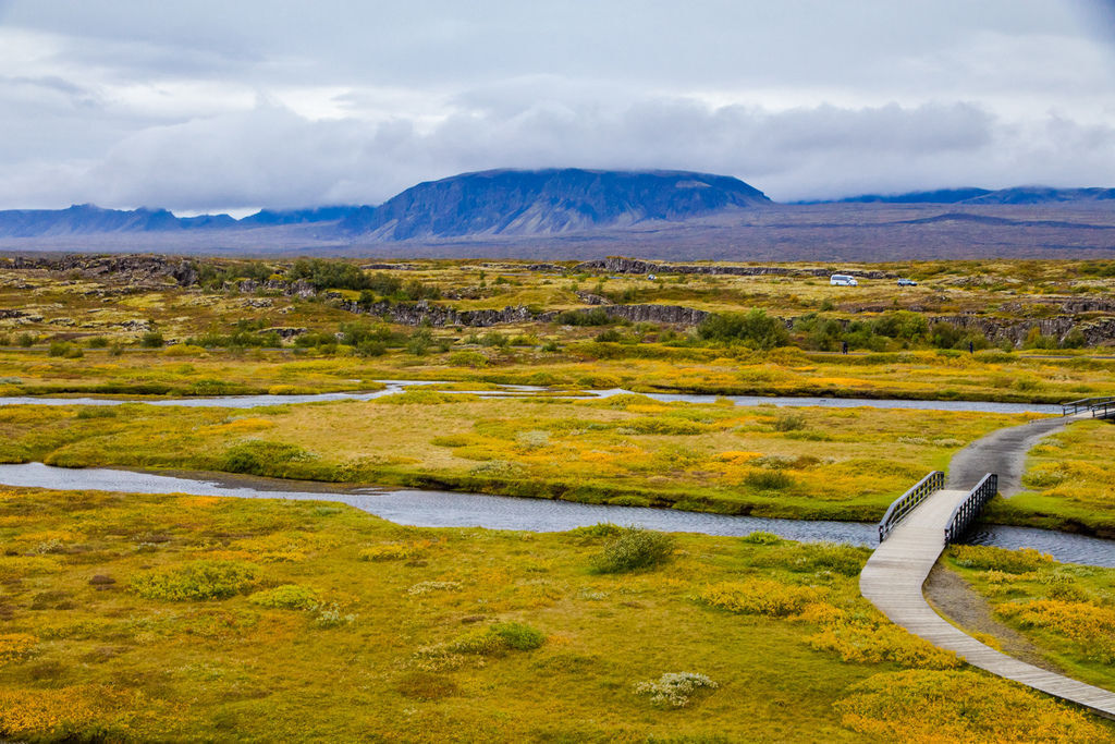 IMG_0933.jpg IMG_0933.jpg