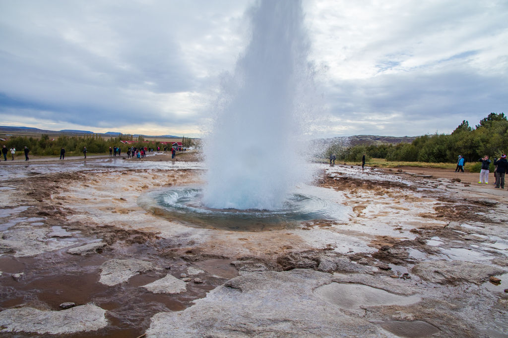 IMG_1155.jpg IMG_1155.jpg