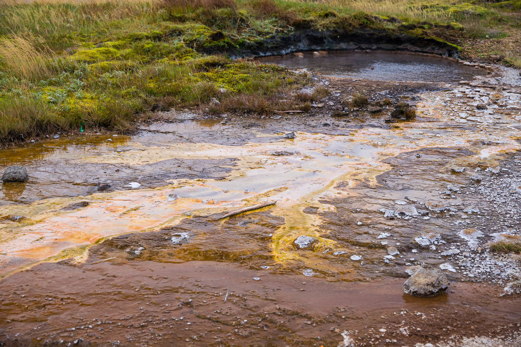 IMG_1132.jpg IMG_1132.jpg