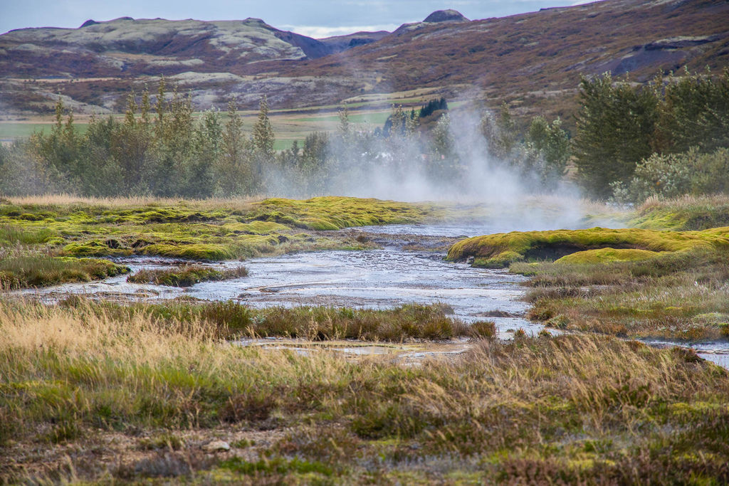 IMG_1129.jpg IMG_1129.jpg