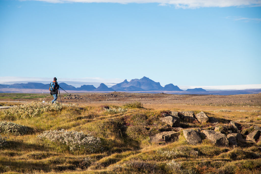 IMG_1411.jpg IMG_1411.jpg