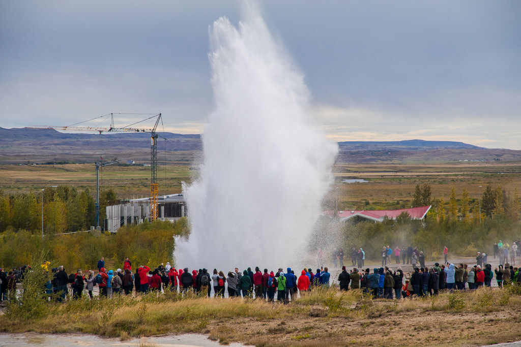 IMG_1234.jpg IMG_1234.jpg