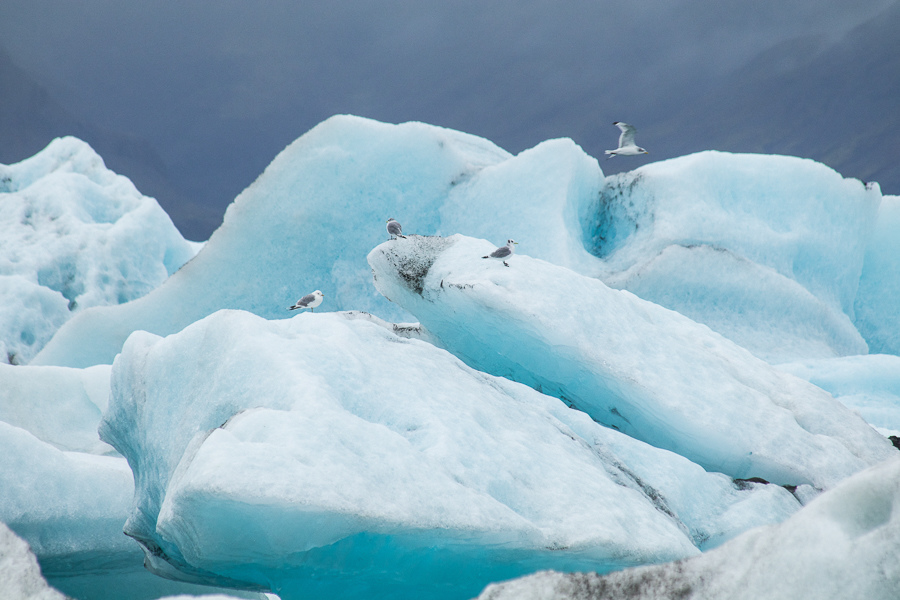 IMG_1930.jpg IMG_1930.jpg