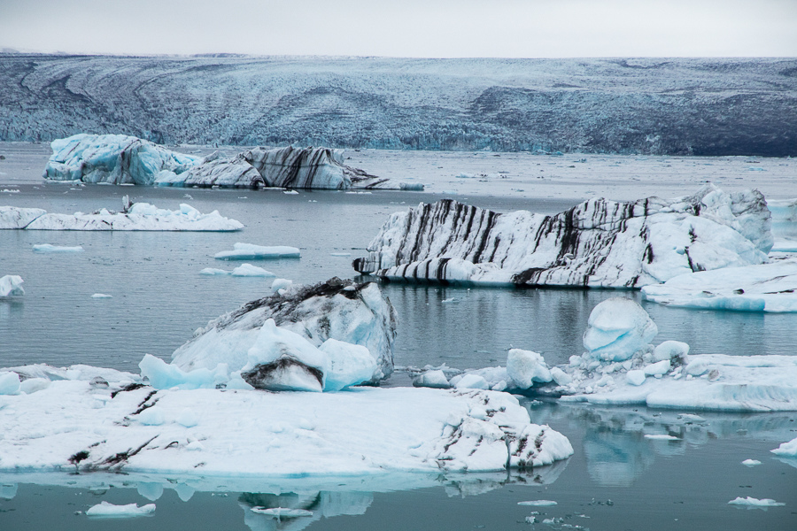 IMG_2022.jpg IMG_2022.jpg