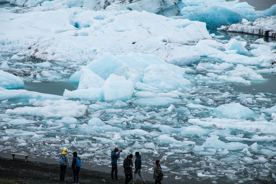 IMG_2007.jpg IMG_2007.jpg