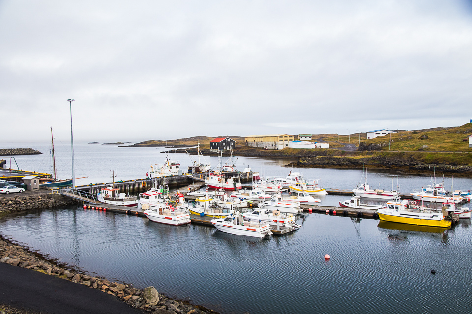 IMG_2440.jpg IMG_2440.jpg